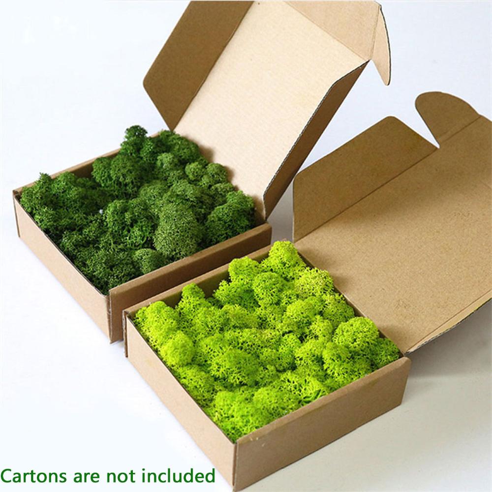 Preserved Moss Sheet - Искусственное растение вечная жизнь мох сад