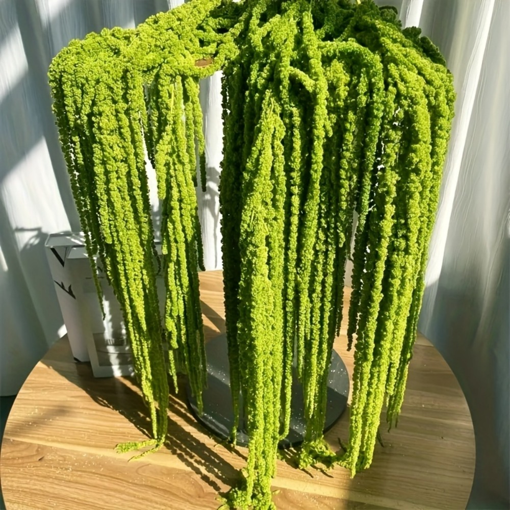 Набор из 4 искусственных цвето – обзор и цена Preserved Moss Sheet