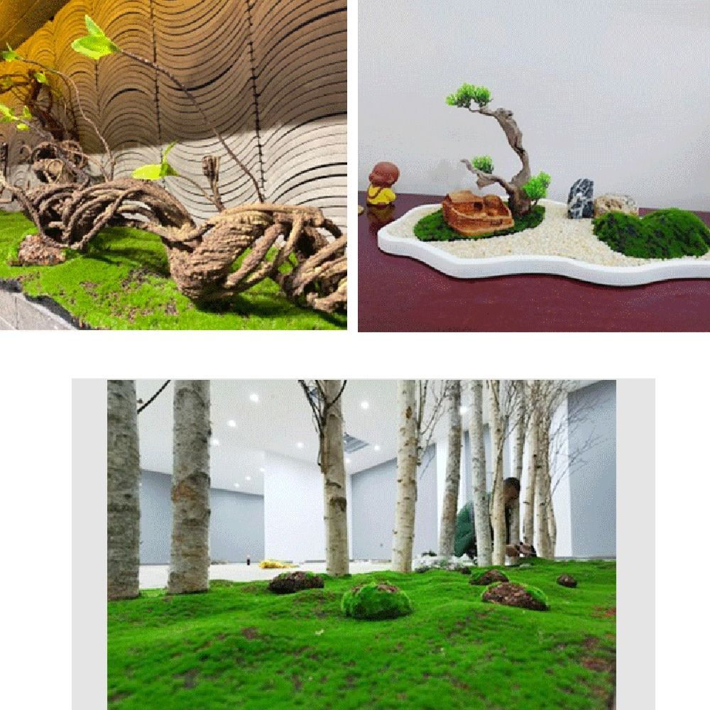DIY поддельный мох, травяной г – обзор и цена Preserved Moss Sheet