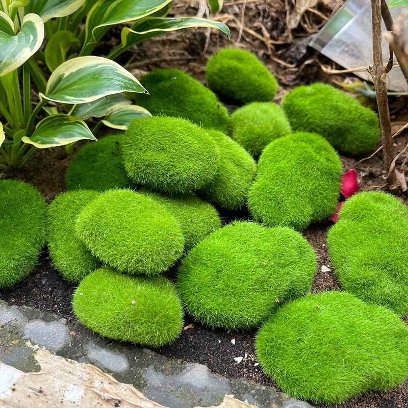 5/30 шт. Искусственные камни-м – обзор и цена Preserved Moss Sheet