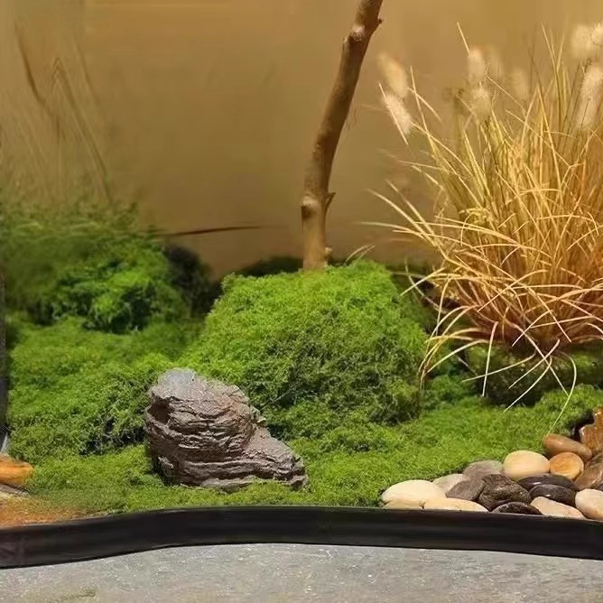 200 г. Искусственный мох «Вечн – обзор и цена Preserved Moss Sheet
