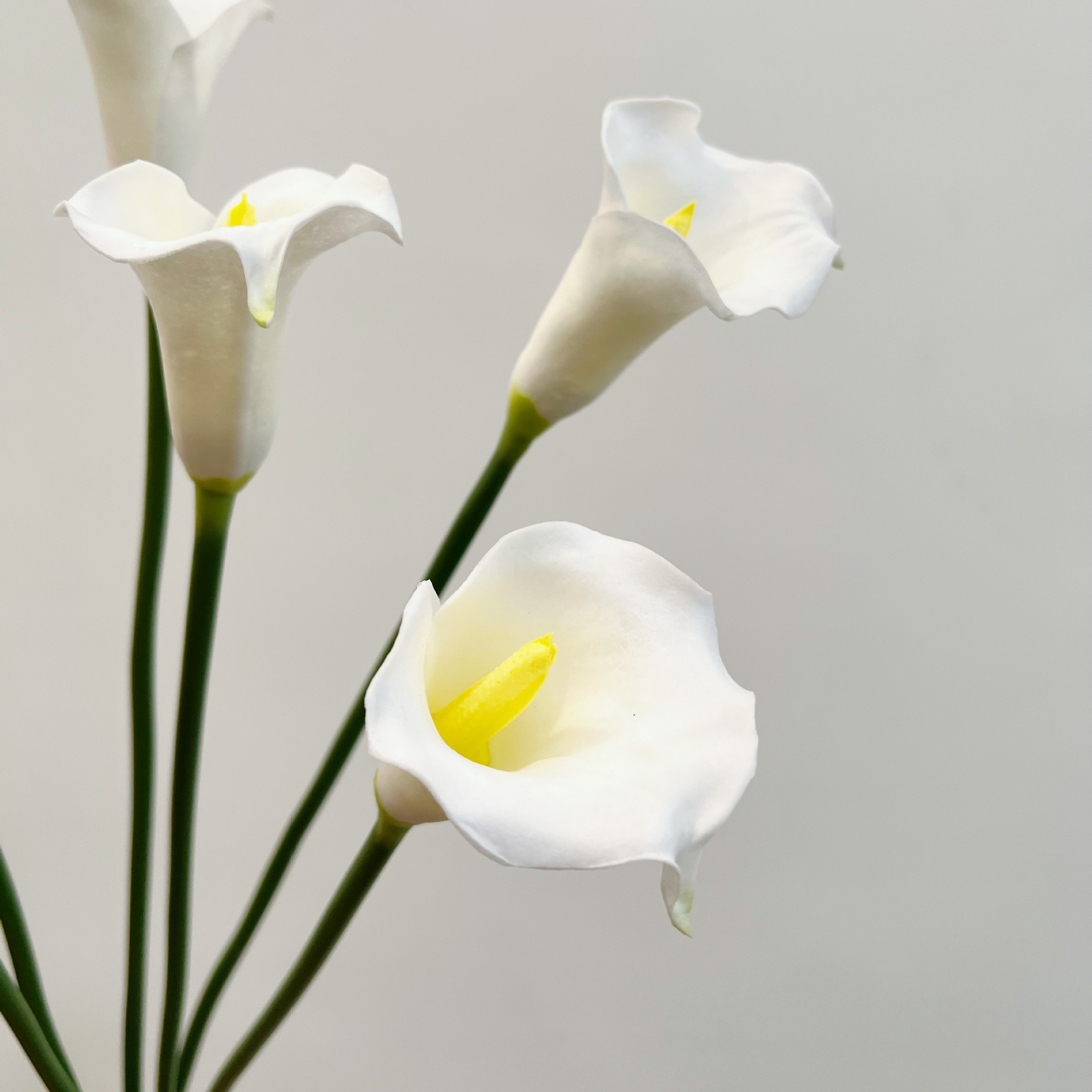Искусственный цветок каллы (26 – обзор и цена Supply For Florist